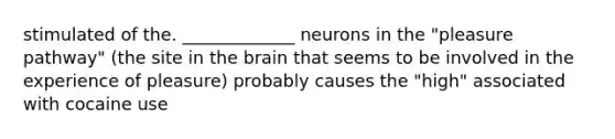 stimulated of the. _____________ neurons in the "pleasure pathway" (the site in the brain that seems to be involved in the experience of pleasure) probably causes the "high" associated with cocaine use