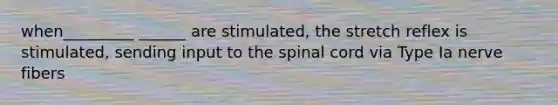 when_________ ______ are stimulated, the stretch reflex is stimulated, sending input to the spinal cord via Type Ia nerve fibers