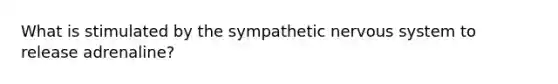 What is stimulated by the sympathetic nervous system to release adrenaline?