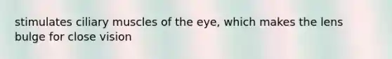 stimulates ciliary muscles of the eye, which makes the lens bulge for close vision