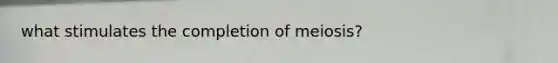 what stimulates the completion of meiosis?