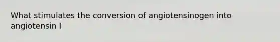 What stimulates the conversion of angiotensinogen into angiotensin I