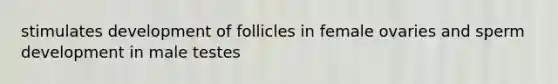 stimulates development of follicles in female ovaries and sperm development in male testes