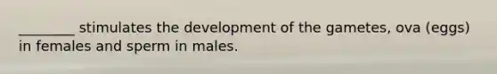 ________ stimulates the development of the gametes, ova (eggs) in females and sperm in males.