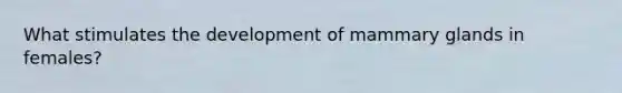 What stimulates the development of mammary glands in females?