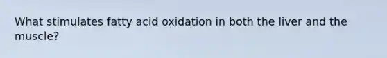 What stimulates fatty acid oxidation in both the liver and the muscle?