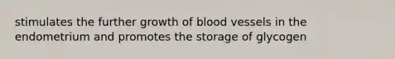 stimulates the further growth of blood vessels in the endometrium and promotes the storage of glycogen