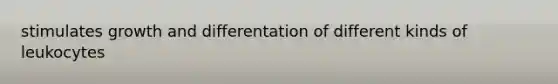 stimulates growth and differentation of different kinds of leukocytes