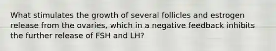 What stimulates the growth of several follicles and estrogen release from the ovaries, which in a negative feedback inhibits the further release of FSH and LH?