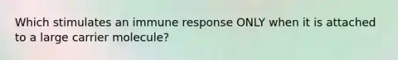 Which stimulates an immune response ONLY when it is attached to a large carrier molecule?