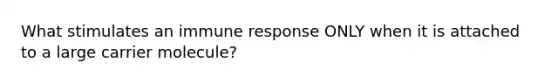 What stimulates an immune response ONLY when it is attached to a large carrier molecule?