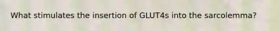 What stimulates the insertion of GLUT4s into the sarcolemma?