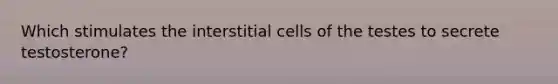 Which stimulates the interstitial cells of the testes to secrete testosterone?