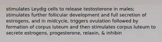 stimulates Leydig cells to release testosterone in males; stimulates further follicular development and full secretion of estrogens, and in midcycle, triggers ovulation followed by formation of corpus luteum and then stimulates corpus luteum to secrete estrogens, progesterone, relaxin, & inhibin