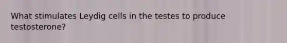 What stimulates Leydig cells in the testes to produce testosterone?