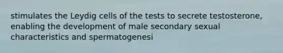 stimulates the Leydig cells of the tests to secrete testosterone, enabling the development of male secondary sexual characteristics and spermatogenesi