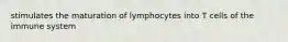 stimulates the maturation of lymphocytes into T cells of the immune system