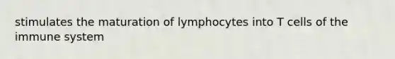 stimulates the maturation of lymphocytes into T cells of the immune system