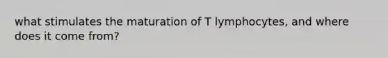 what stimulates the maturation of T lymphocytes, and where does it come from?