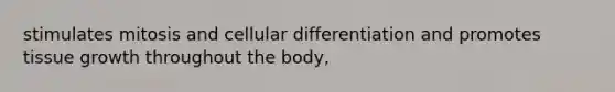 stimulates mitosis and cellular differentiation and promotes tissue growth throughout the body,