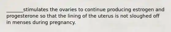_______stimulates the ovaries to continue producing estrogen and progesterone so that the lining of the uterus is not sloughed off in menses during pregnancy.