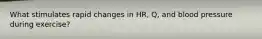 What stimulates rapid changes in HR, Q, and blood pressure during exercise?