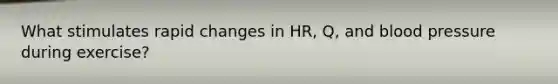 What stimulates rapid changes in HR, Q, and blood pressure during exercise?