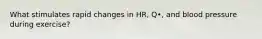 What stimulates rapid changes in HR, Q•, and blood pressure during exercise?