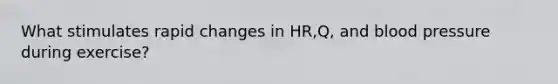 What stimulates rapid changes in HR,Q, and blood pressure during exercise?