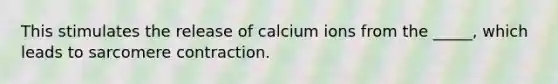 This stimulates the release of calcium ions from the _____, which leads to sarcomere contraction.