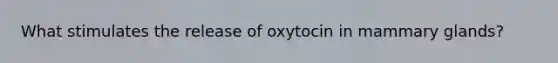 What stimulates the release of oxytocin in mammary glands?