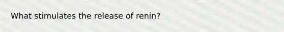 What stimulates the release of renin?