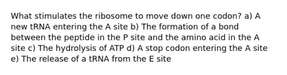 What stimulates the ribosome to move down one codon? a) A new tRNA entering the A site b) The formation of a bond between the peptide in the P site and the amino acid in the A site c) The hydrolysis of ATP d) A stop codon entering the A site e) The release of a tRNA from the E site