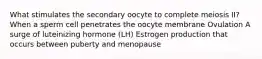 What stimulates the secondary oocyte to complete meiosis II? When a sperm cell penetrates the oocyte membrane Ovulation A surge of luteinizing hormone (LH) Estrogen production that occurs between puberty and menopause