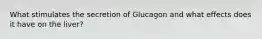 What stimulates the secretion of Glucagon and what effects does it have on the liver?