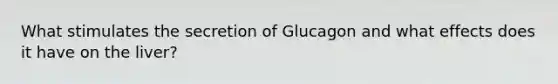 What stimulates the secretion of Glucagon and what effects does it have on the liver?