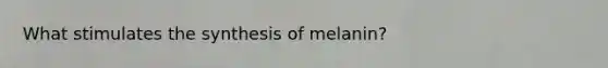 What stimulates the synthesis of melanin?