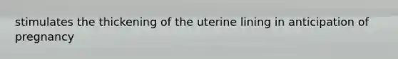 stimulates the thickening of the uterine lining in anticipation of pregnancy