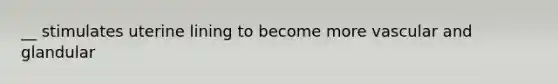 __ stimulates uterine lining to become more vascular and glandular
