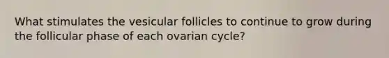 What stimulates the vesicular follicles to continue to grow during the follicular phase of each ovarian cycle?