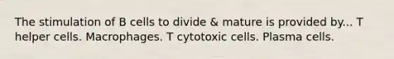 The stimulation of B cells to divide & mature is provided by... T helper cells. Macrophages. T cytotoxic cells. Plasma cells.