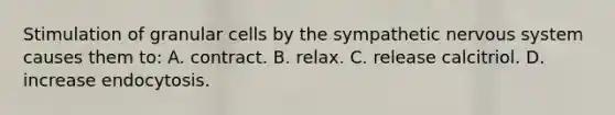 Stimulation of granular cells by the sympathetic nervous system causes them to: A. contract. B. relax. C. release calcitriol. D. increase endocytosis.