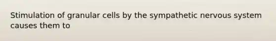 Stimulation of granular cells by the sympathetic <a href='https://www.questionai.com/knowledge/kThdVqrsqy-nervous-system' class='anchor-knowledge'>nervous system</a> causes them to