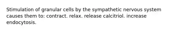 Stimulation of granular cells by the sympathetic nervous system causes them to: contract. relax. release calcitriol. increase endocytosis.