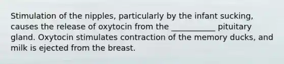 Stimulation of the nipples, particularly by the infant sucking, causes the release of oxytocin from the ___________ pituitary gland. Oxytocin stimulates contraction of the memory ducks, and milk is ejected from the breast.