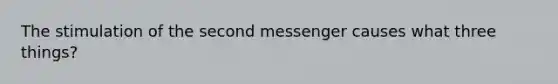 The stimulation of the second messenger causes what three things?