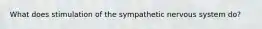 What does stimulation of the sympathetic nervous system do?