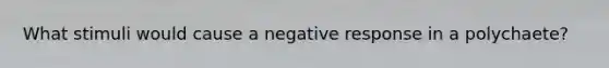 What stimuli would cause a negative response in a polychaete?