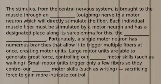 The stimulus, from the central nervous system, is brought to the muscle through an ___________ (outgoing) nerve to a motor neuron which will directly stimulate the fiber. Each individual muscle fiber must be stimulated by a motor neuron and has a designated place along its sarcolemma for this, the ___________ _______ __________. Fortunately, a single motor neuron has numerous branches that allow it to trigger multiple fibers at once, creating motor units. Large motor units are able to generate great force, controlling our _______ motor skills (such as walking). Small motor units trigger only a few fibers so they control our ________ motor skills (such as writing) — sacrificing force to gain more intricate control