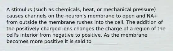 A stimulus (such as chemicals, heat, or mechanical pressure) causes channels on the neuron's membrane to open and NA+ from outside the membrane rushes into the cell. The addition of the positively charged ions changes the charge of a region of the cell's interior from negative to positive. As the membrane becomes more positive it is said to __________